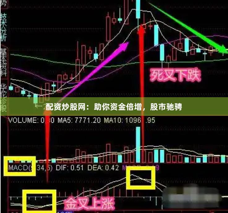 配资炒股网：助你资金倍增，股市驰骋