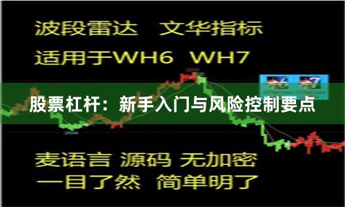 股票杠杆：新手入门与风险控制要点