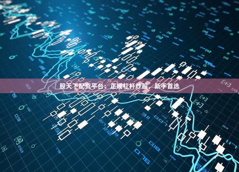 股天下配资平台：正规杠杆炒股，新手首选
